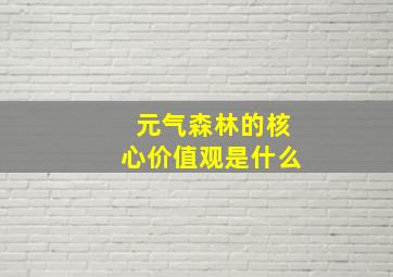 元气森林的核心价值观是什么