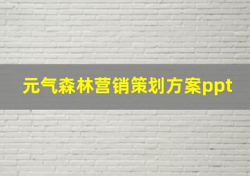 元气森林营销策划方案ppt