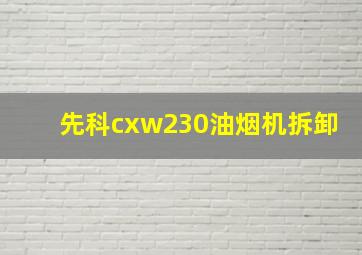 先科cxw230油烟机拆卸