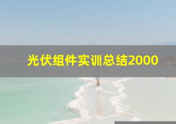 光伏组件实训总结2000