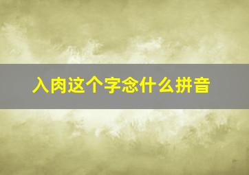 入肉这个字念什么拼音