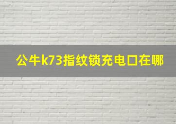 公牛k73指纹锁充电口在哪