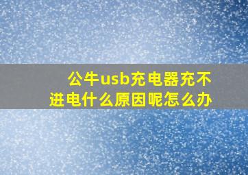 公牛usb充电器充不进电什么原因呢怎么办