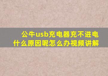 公牛usb充电器充不进电什么原因呢怎么办视频讲解