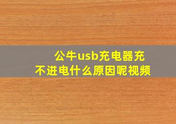 公牛usb充电器充不进电什么原因呢视频