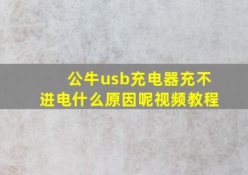 公牛usb充电器充不进电什么原因呢视频教程