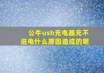 公牛usb充电器充不进电什么原因造成的呢