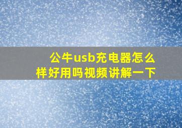 公牛usb充电器怎么样好用吗视频讲解一下