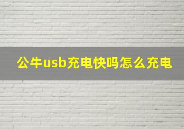 公牛usb充电快吗怎么充电