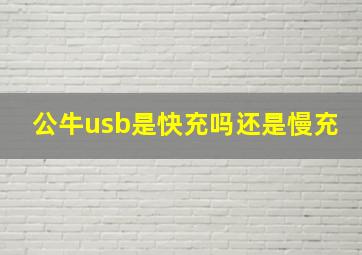 公牛usb是快充吗还是慢充