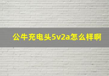 公牛充电头5v2a怎么样啊