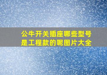 公牛开关插座哪些型号是工程款的呢图片大全