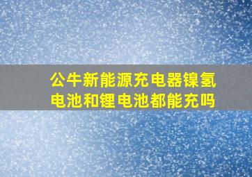 公牛新能源充电器镍氢电池和锂电池都能充吗