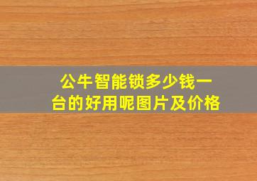 公牛智能锁多少钱一台的好用呢图片及价格