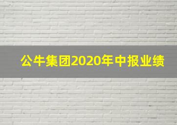 公牛集团2020年中报业绩