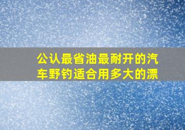 公认最省油最耐开的汽车野钓适合用多大的漂