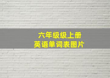 六年级级上册英语单词表图片