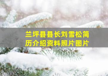 兰坪县县长刘雪松简历介绍资料照片图片