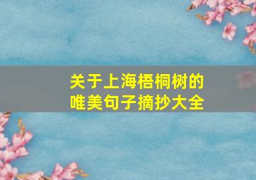 关于上海梧桐树的唯美句子摘抄大全