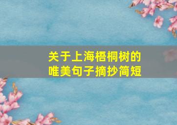 关于上海梧桐树的唯美句子摘抄简短