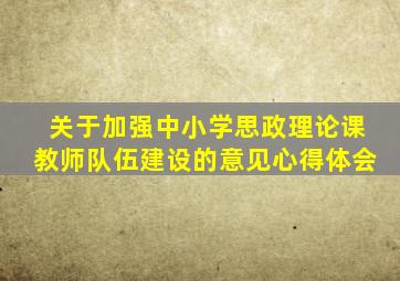 关于加强中小学思政理论课教师队伍建设的意见心得体会