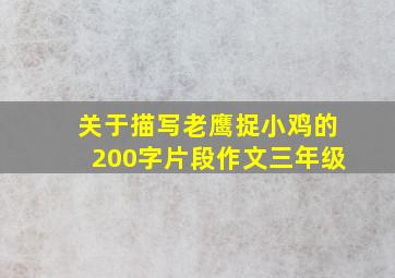 关于描写老鹰捉小鸡的200字片段作文三年级