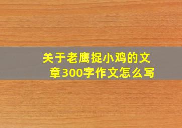 关于老鹰捉小鸡的文章300字作文怎么写