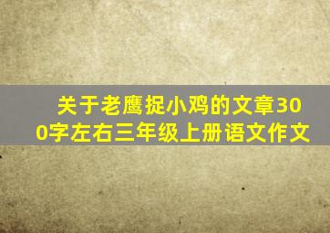 关于老鹰捉小鸡的文章300字左右三年级上册语文作文