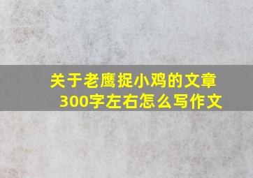 关于老鹰捉小鸡的文章300字左右怎么写作文