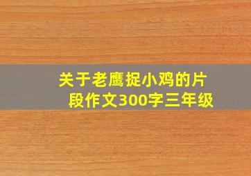 关于老鹰捉小鸡的片段作文300字三年级