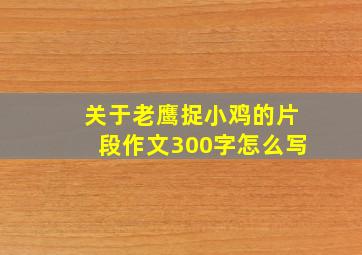 关于老鹰捉小鸡的片段作文300字怎么写