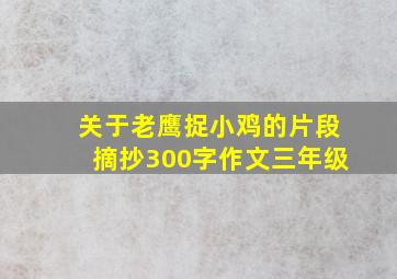 关于老鹰捉小鸡的片段摘抄300字作文三年级