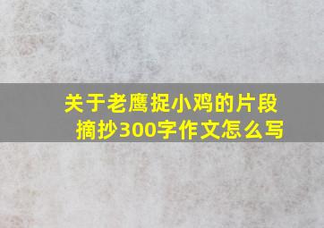 关于老鹰捉小鸡的片段摘抄300字作文怎么写