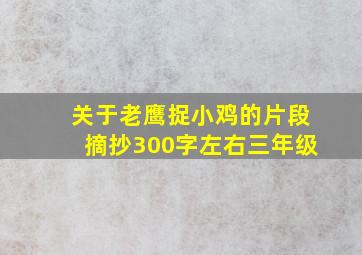 关于老鹰捉小鸡的片段摘抄300字左右三年级