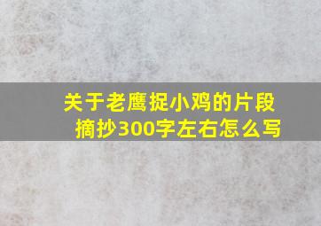 关于老鹰捉小鸡的片段摘抄300字左右怎么写