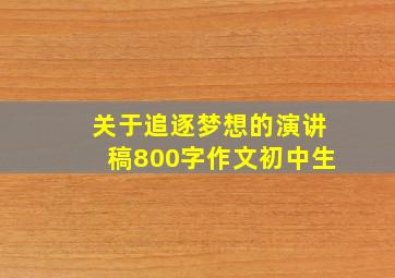 关于追逐梦想的演讲稿800字作文初中生