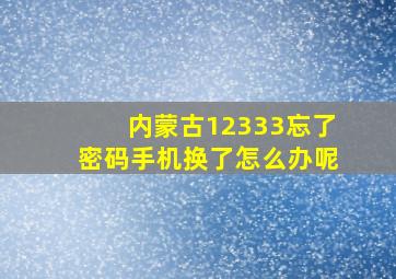 内蒙古12333忘了密码手机换了怎么办呢