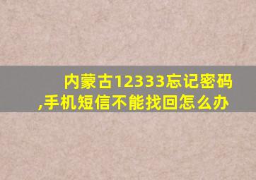 内蒙古12333忘记密码,手机短信不能找回怎么办