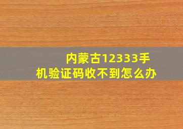 内蒙古12333手机验证码收不到怎么办