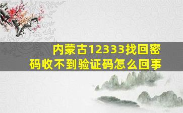 内蒙古12333找回密码收不到验证码怎么回事