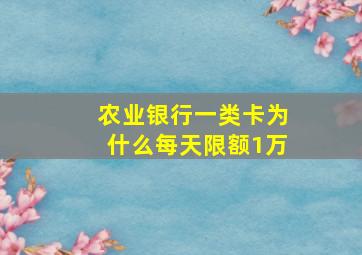 农业银行一类卡为什么每天限额1万