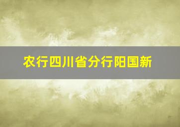 农行四川省分行阳国新