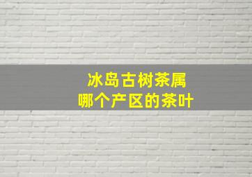 冰岛古树茶属哪个产区的茶叶