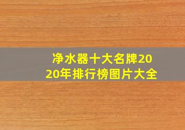 净水器十大名牌2020年排行榜图片大全