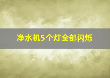 净水机5个灯全部闪烁