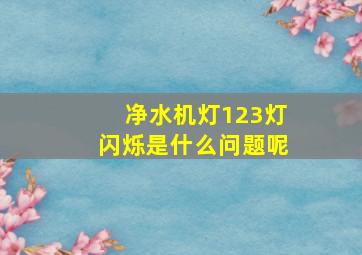 净水机灯123灯闪烁是什么问题呢