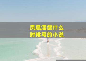 凤凰涅槃什么时候写的小说