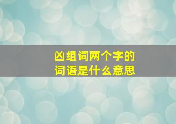 凶组词两个字的词语是什么意思