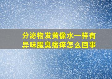 分泌物发黄像水一样有异味腥臭瘙痒怎么回事