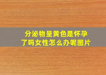 分泌物呈黄色是怀孕了吗女性怎么办呢图片